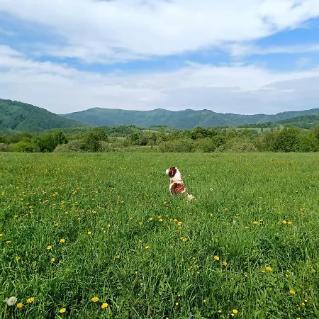 Apartamento Turistický Apartmánový Domček 11 *