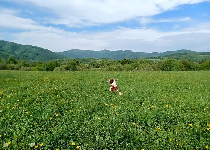 Apartament Turisticky Apartmanovy Domcek 11 *